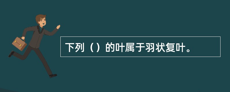 下列（）的叶属于羽状复叶。