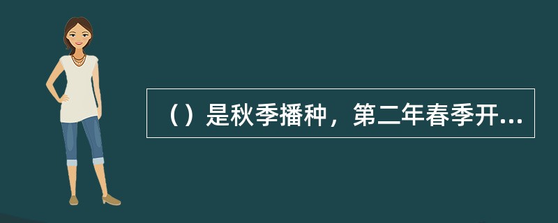 （）是秋季播种，第二年春季开花，花后整株死亡的花卉。