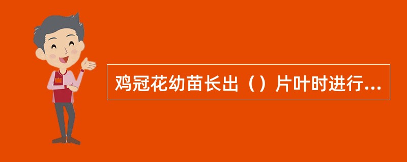 鸡冠花幼苗长出（）片叶时进行移植较好。