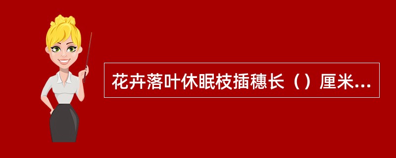 花卉落叶休眠枝插穗长（）厘米为宜。