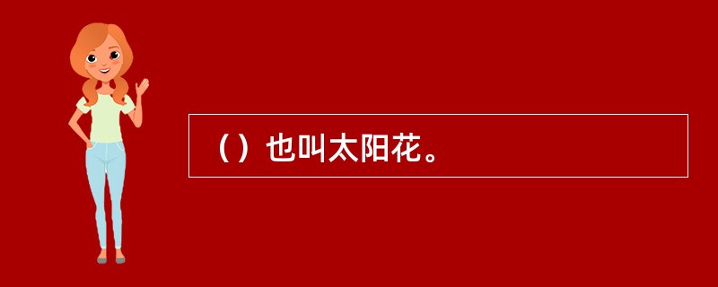 （）也叫太阳花。