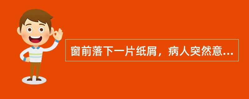 窗前落下一片纸屑，病人突然意识到有人在散发传单陷害自己，这病人可能的症状为（）