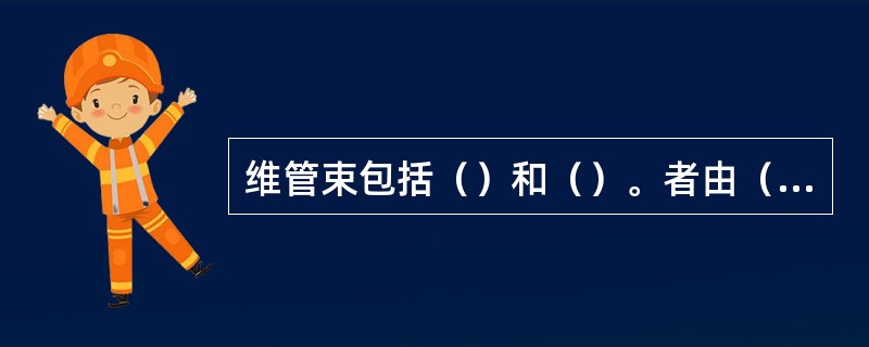 维管束包括（）和（）。者由（）、（）、（）和（）构成，后者由（）、（）、（）和（