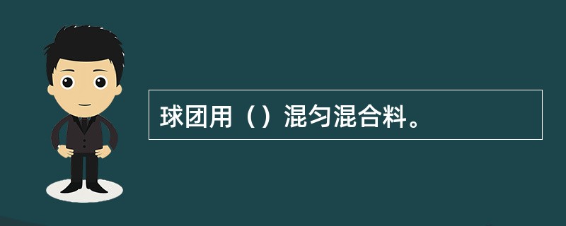 球团用（）混匀混合料。