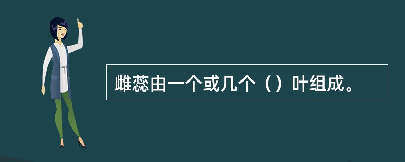 雌蕊由一个或几个（）叶组成。