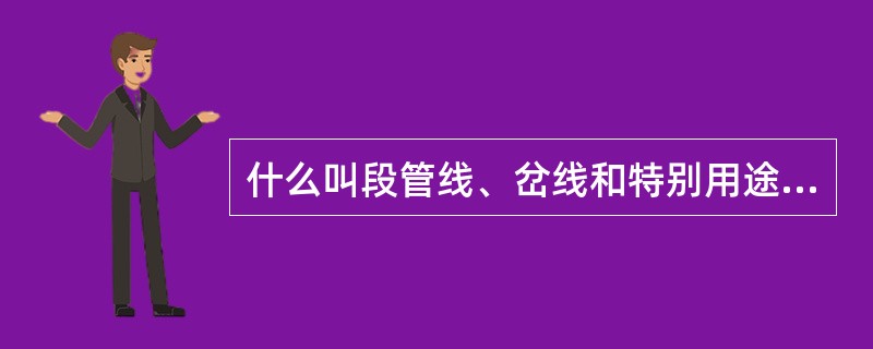什么叫段管线、岔线和特别用途线？