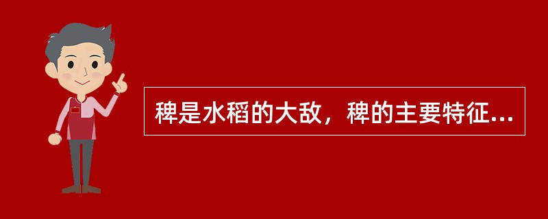 稗是水稻的大敌，稗的主要特征是叶片与叶鞘交界处（）