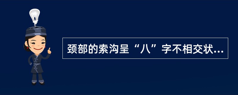 颈部的索沟呈“八”字不相交状是：（）