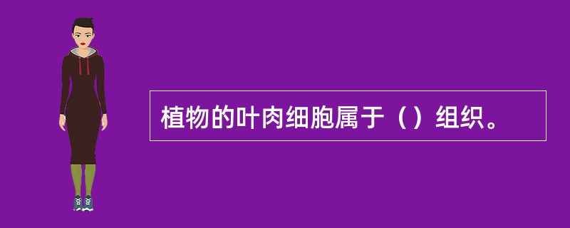 植物的叶肉细胞属于（）组织。