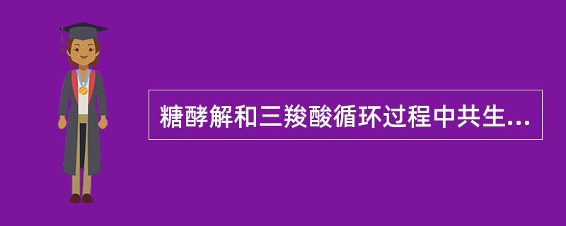 糖酵解和三羧酸循环过程中共生成（）个ATP。