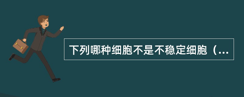 下列哪种细胞不是不稳定细胞（）。