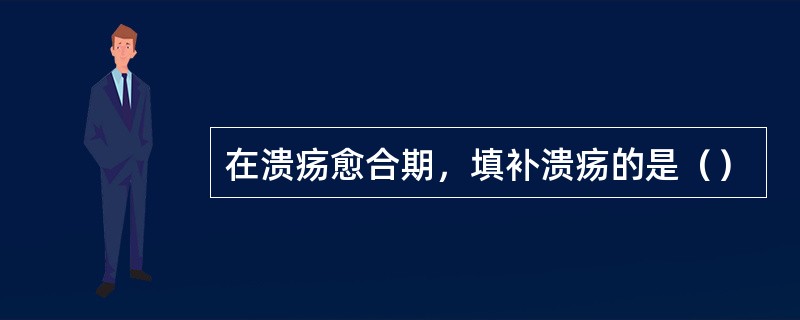 在溃疡愈合期，填补溃疡的是（）