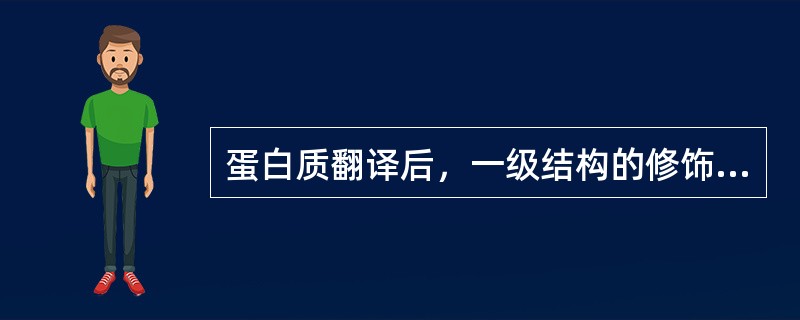 蛋白质翻译后，一级结构的修饰包括去除N-甲酰基或N-蛋氨酸、个别氨基酸修饰和（）