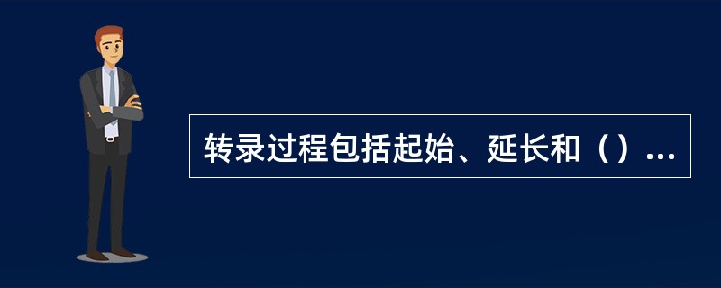 转录过程包括起始、延长和（）三个阶段。