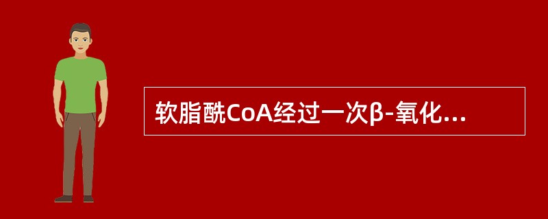 软脂酰CoA经过一次β-氧化，其产物通过TCA循环和电子传递链及氧化磷酸化作用，