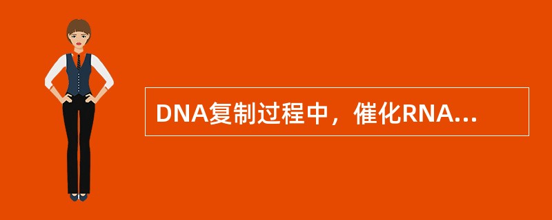 DNA复制过程中，催化RNA引物水解的酶是（）。