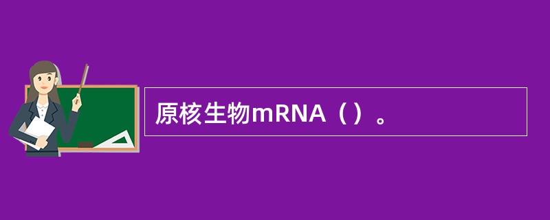 原核生物mRNA（）。