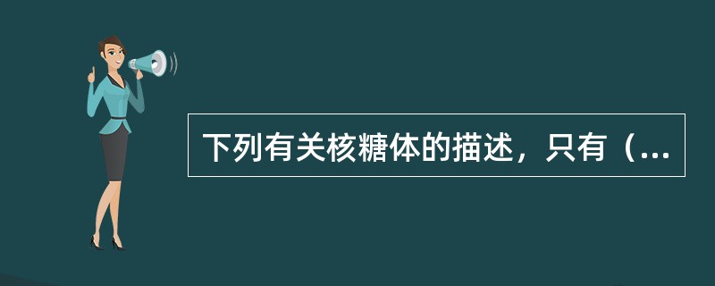 下列有关核糖体的描述，只有（）是正确的。