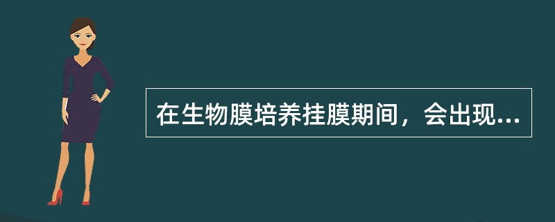 在生物膜培养挂膜期间，会出现膜状污泥大量脱落的现象，这是（）。