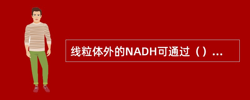 线粒体外的NADH可通过（）穿梭和（）穿梭，将氢最终转交给呼吸链。