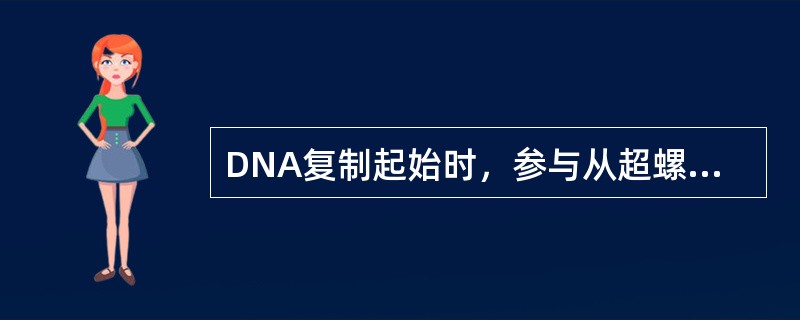 DNA复制起始时，参与从超螺旋结构解开双股链的酶或因子是（）。