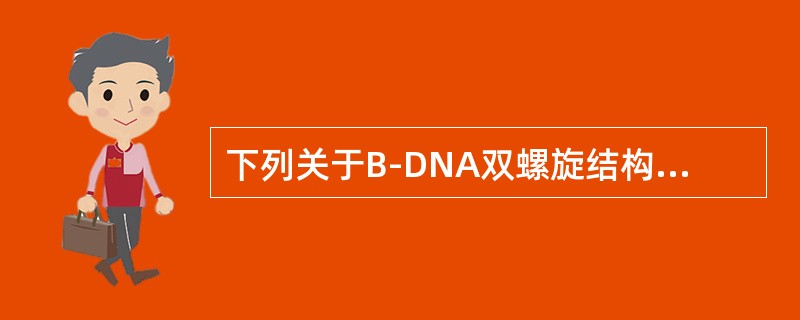 下列关于B-DNA双螺旋结构模型的叙述中哪一项是错误的（）。