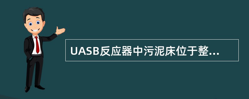 UASB反应器中污泥床位于整个反应器的（）。