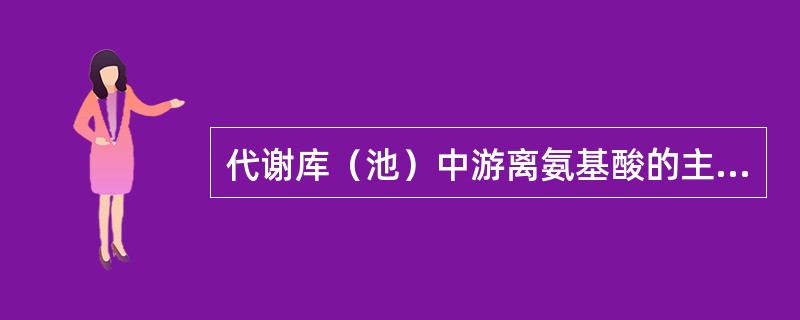 代谢库（池）中游离氨基酸的主要去路为（）。