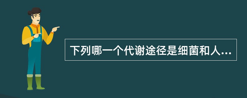 下列哪一个代谢途径是细菌和人共有的（）