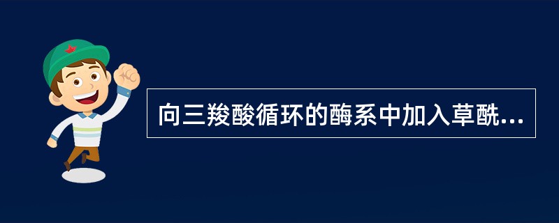 向三羧酸循环的酶系中加入草酰乙酸、乙酰coA、丙二酸，可导致下列哪种代谢中间物堆