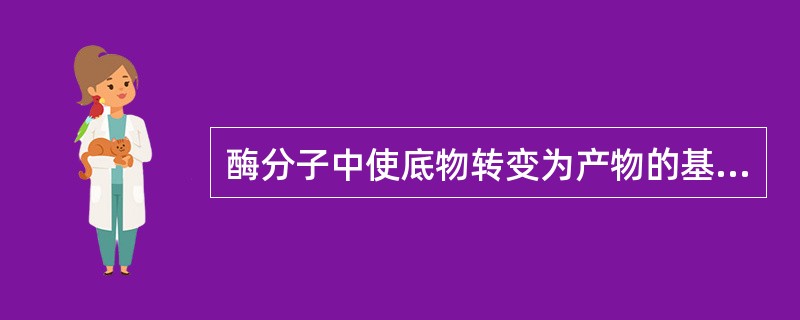 酶分子中使底物转变为产物的基团是指（）