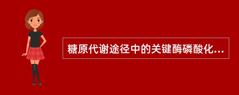 糖原代谢途径中的关键酶磷酸化后（）。