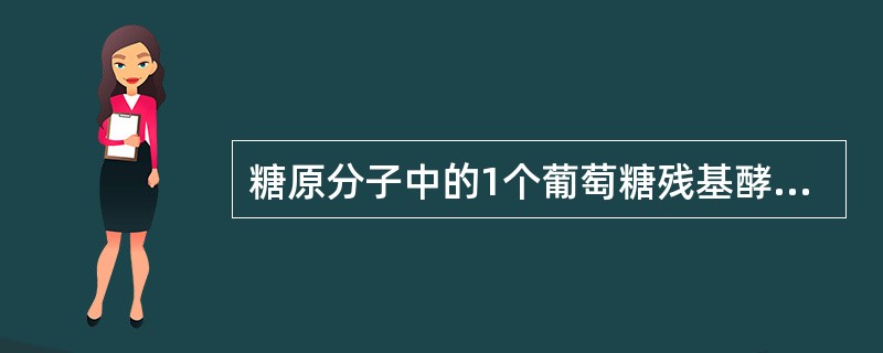 糖原分子中的1个葡萄糖残基酵解时净生成ATP几个（）。