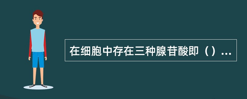 在细胞中存在三种腺苷酸即（）（）和（），统称为腺苷酸库。