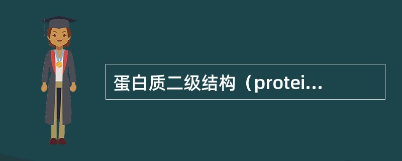 蛋白质二级结构（protein secondary structure）