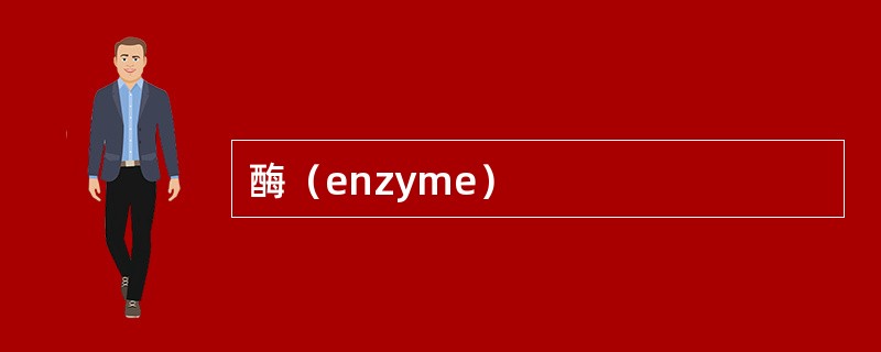 酶（enzyme）