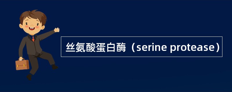 丝氨酸蛋白酶（serine protease）