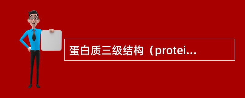 蛋白质三级结构（protein tertiary structure）