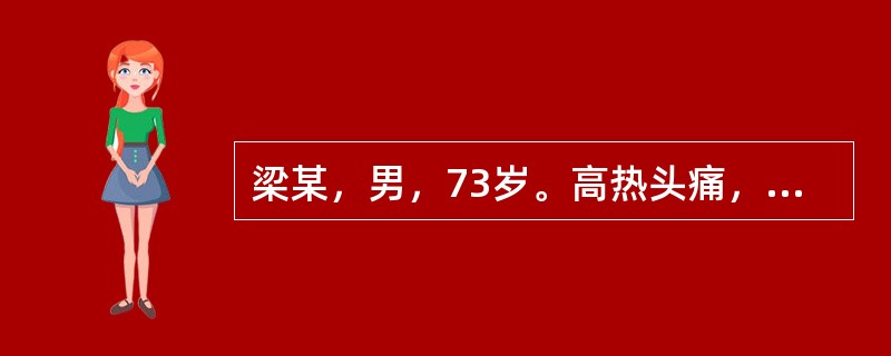 梁某，男，73岁。高热头痛，手足躁动，口噤，甚则项背强急，四肢抽搐，角弓反张，舌