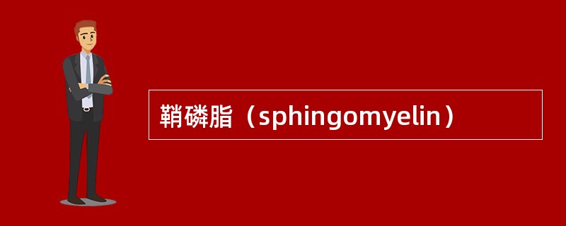 鞘磷脂（sphingomyelin）