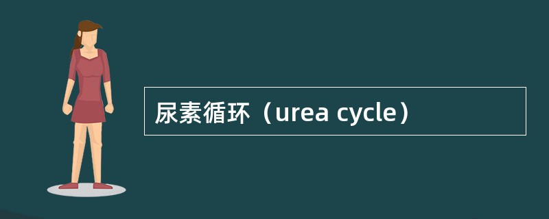 尿素循环（urea cycle）
