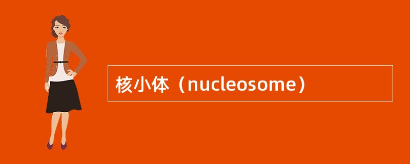 核小体（nucleosome）