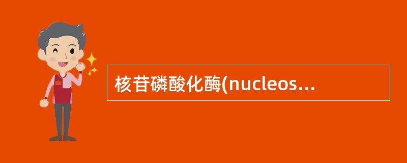 核苷磷酸化酶(nucleoside phosphorylase)