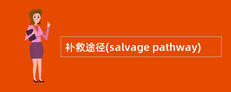 补救途径(salvage pathway)