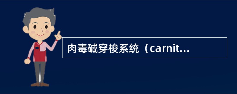 肉毒碱穿梭系统（carnitine shuttle system）