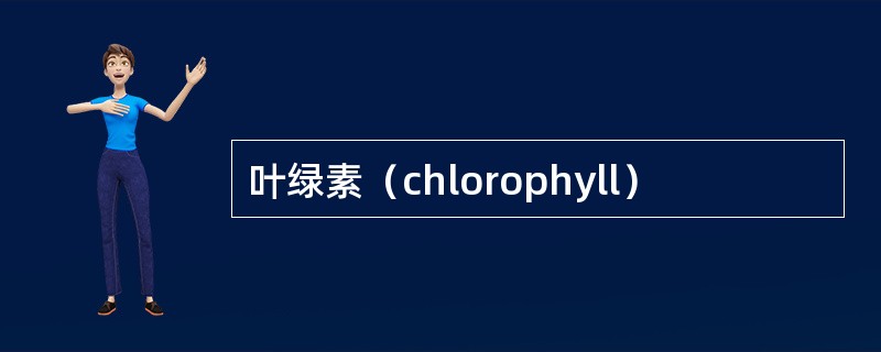 叶绿素（chlorophyll）