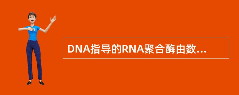 DNA指导的RNA聚合酶由数个亚基组成，研究最清楚的大肠杆菌RNA聚合酶其核心酶
