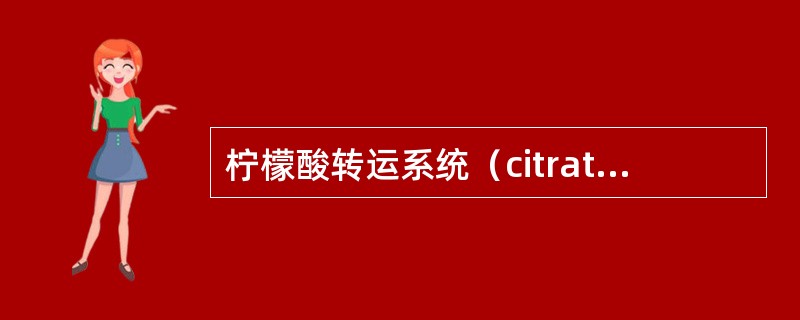 柠檬酸转运系统（citrate transport system）