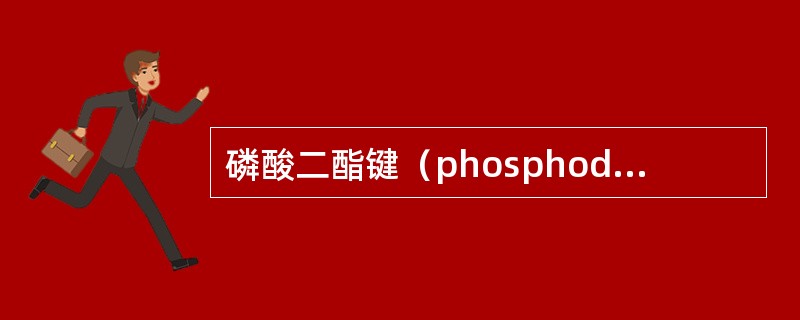 磷酸二酯键（phosphodiester linkage）