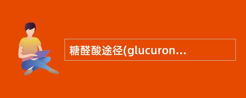 糖醛酸途径(glucuronate pathway)